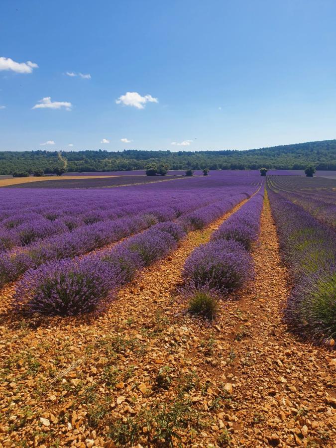 A Ventoux Yourte Monieux Esterno foto