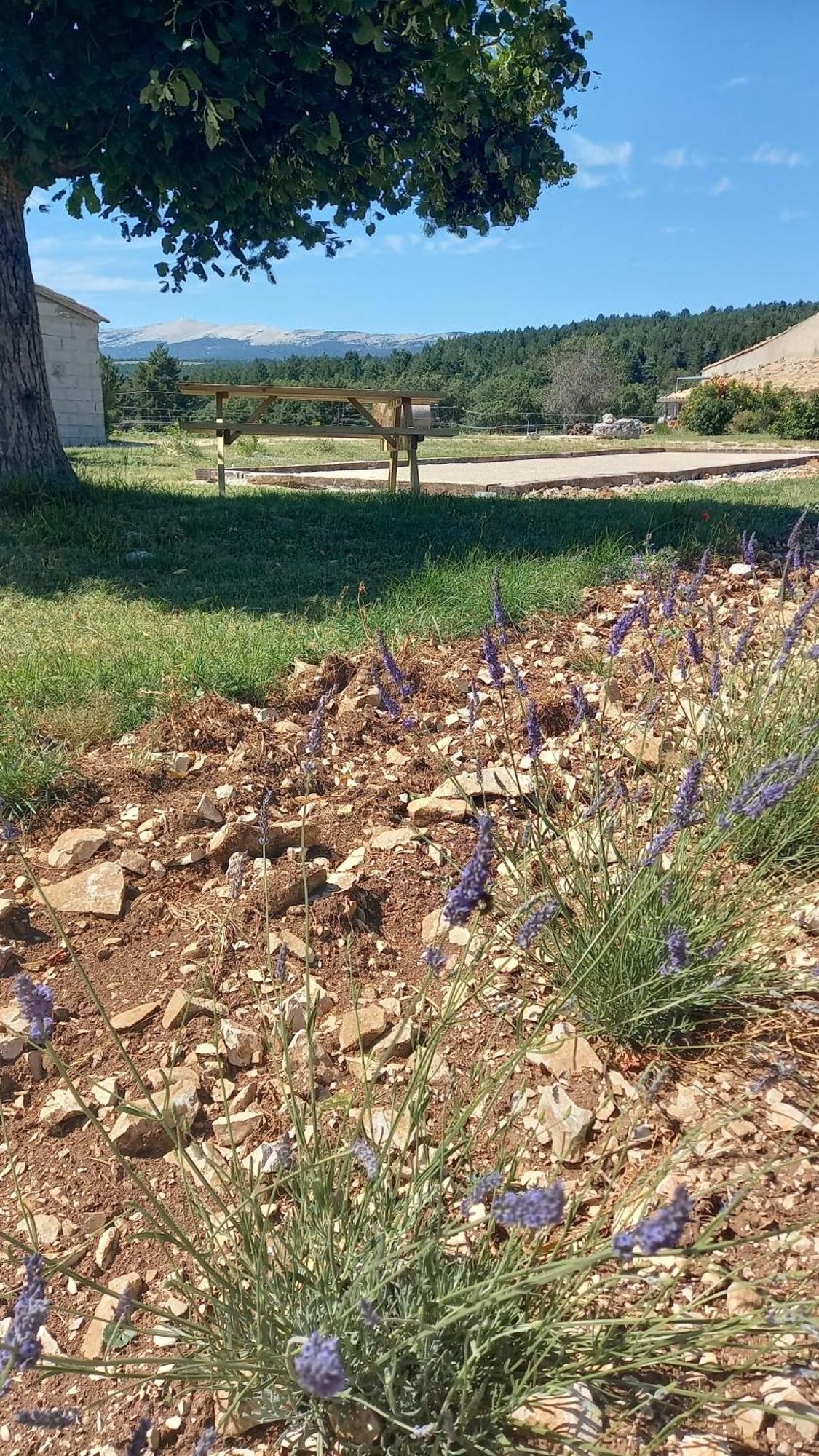 A Ventoux Yourte Monieux Esterno foto